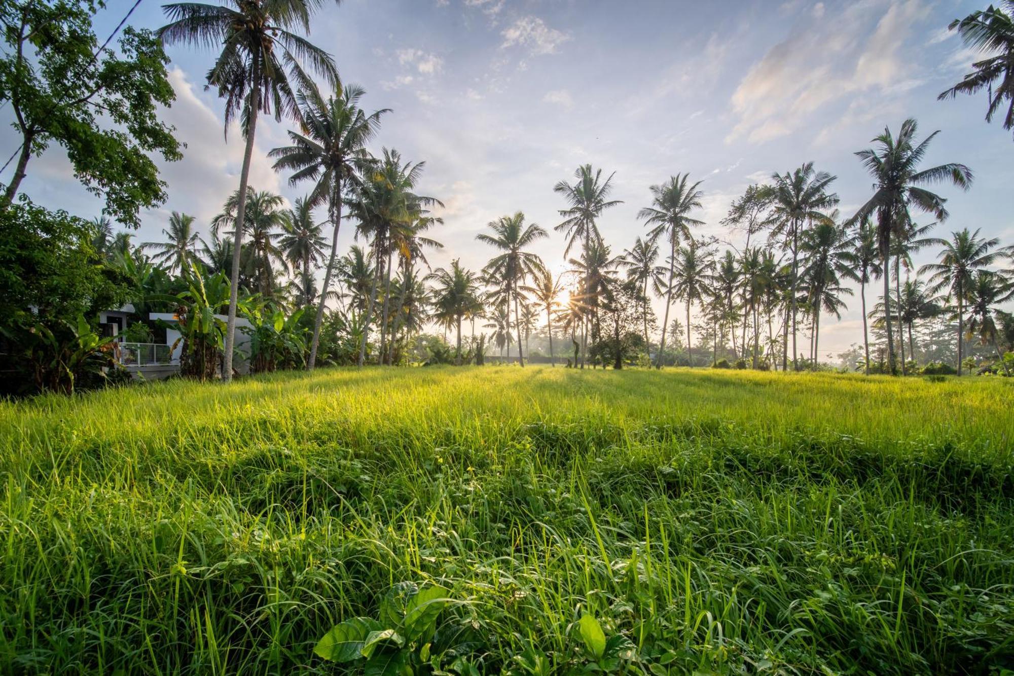 Casa Estrella - Luxe In Ubud Zewnętrze zdjęcie